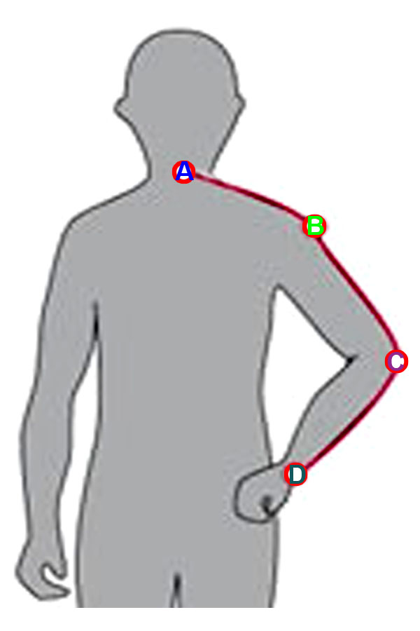 Dress Shirt Arm Length Size Chart