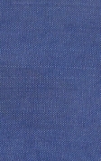  Sample swatch-jusi-Royal Blue 